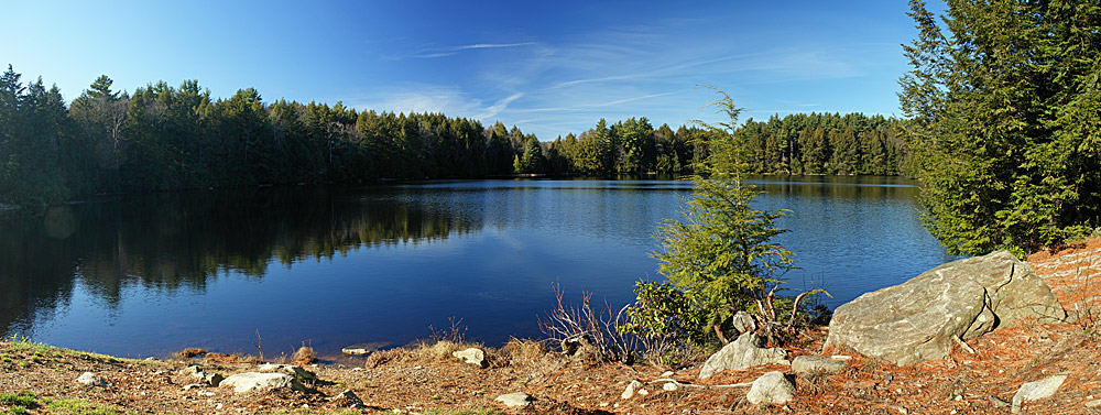 Whisker Hollow