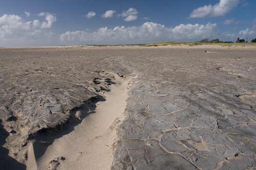 Priel im Watt