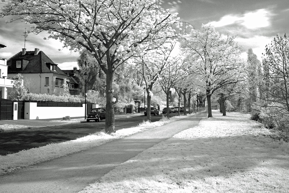 Eleonorenstraße