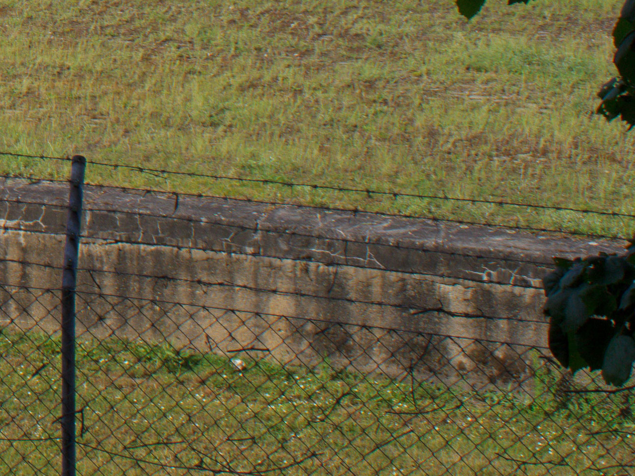 f3.5